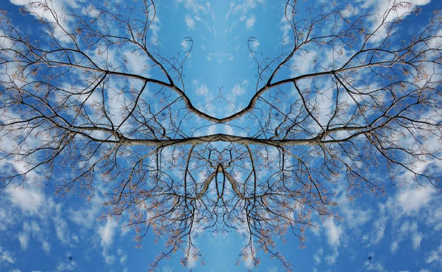 Maria Rebecca Ballestra - Journey into Fragility